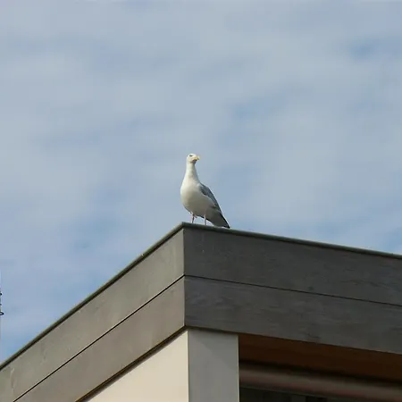 Duinzicht 2 Daire Bergen aan Zee